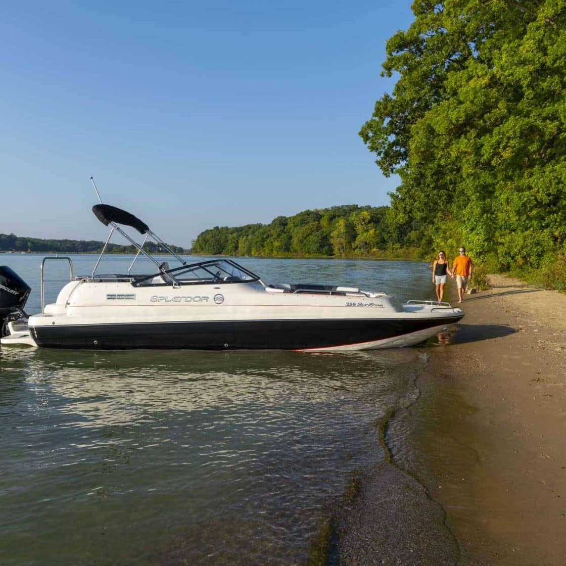 259 SunStar | Splendor Boats